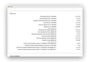 Liquidation aperçu 1